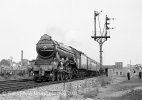 img1035 TM Jun 63 4472 GC Railtour Passing Neasden Remask copyright Final.jpg