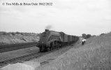 img3335 Neg Strip 66 60028 down Kings X-Niddrie fitted freight Potters Bar 23 Jun 62 copyright...jpg