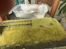 IMG_1089.jpeg