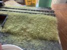 IMG_1091.jpeg